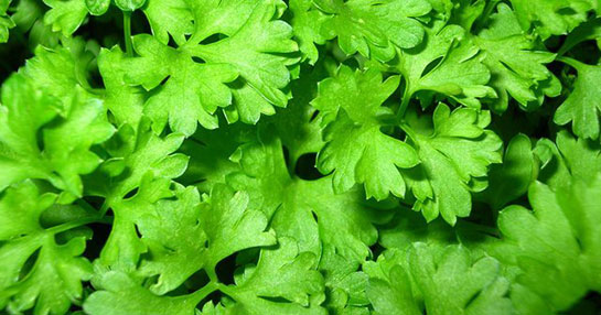 Regl Söktürücü Kullanımı ve Faydaları Nelerdir?